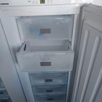 Congelatore Liebherr