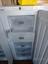 Congelatore Liebherr