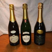 Bollicine Franciacorta 