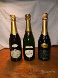 Bollicine Franciacorta 