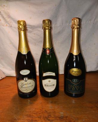 Bollicine Franciacorta 