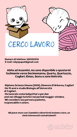 Lavoro come baby Sitter, cassiera etc