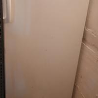 Freezer Rex Electrolux 5 cassetti 