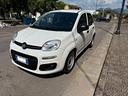fiat-panda-1-0-gse-s-s-hybrid-pop-van-2-posti
