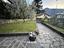 Immagine 11