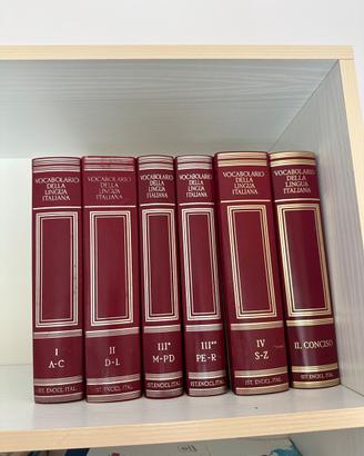Vocabolario Treccani Completo+ Il Conciso