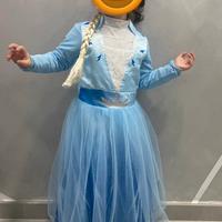 Elsa Frozen carnevale