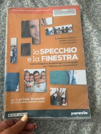 lo specchio e la finestra