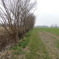 Terreno Agricolo irriguo ed arborato