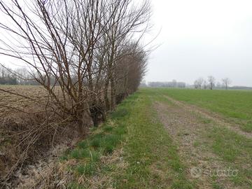 Terreno Agricolo irriguo ed arborato