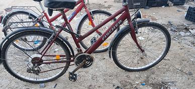 bici fischer da restaurare