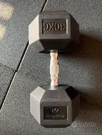 Manubrio dumbbell 30kg
