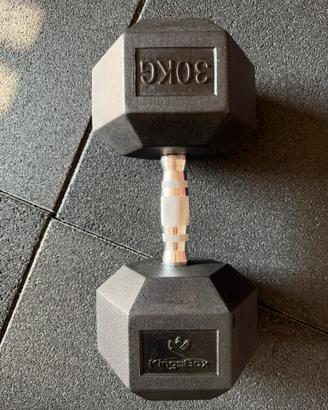 Manubrio dumbbell 30kg