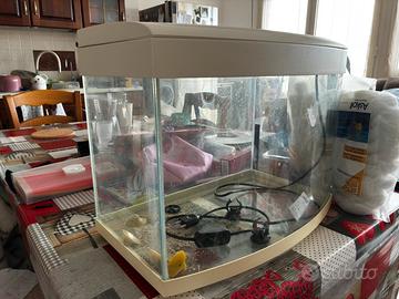 Acquario Ottavi Flipper