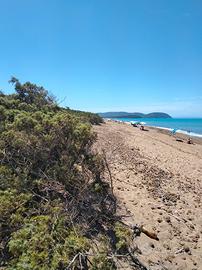 Appartamento vacanze Piombino