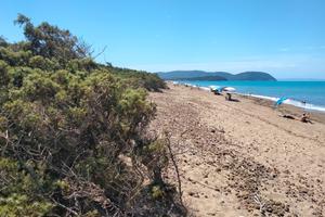 Appartamento vacanze Piombino