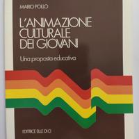Libro L'animazione culturale dei giovani