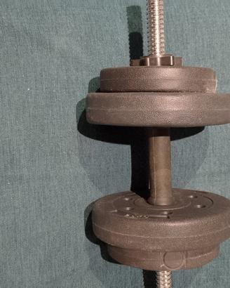pesi da palestra 
