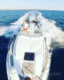 Natante Sealine290 Ambassador eleganza prestazioni