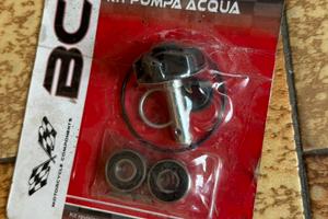 Kit revisione pompa acqua F12