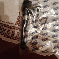 Astina e guida  livello olio motore Ford Focus