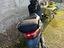 Immagine 3