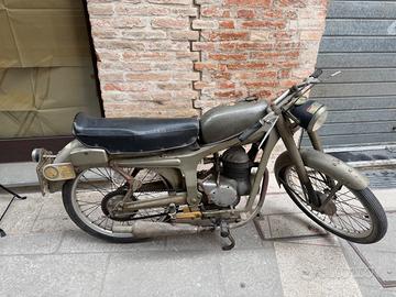 Capriolo 75