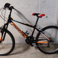 bici ragazzo 24"