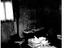 Immagine 25