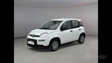 FIAT Panda III 2021 - Panda 1.0 firefly hybrid s&s