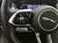 Immagine 14