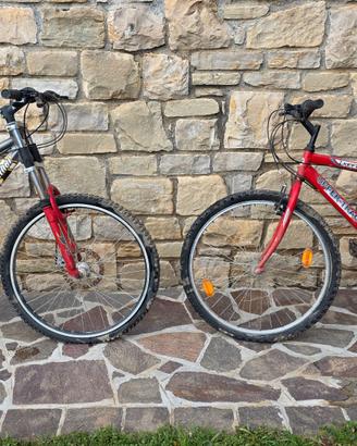 Biciclette MTB 26"  100€