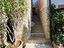 Immagine 18