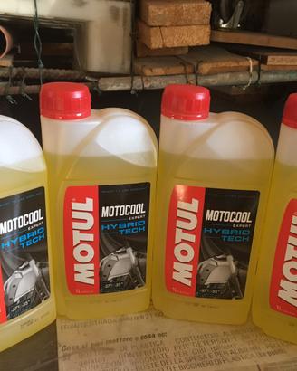 Liquido motul