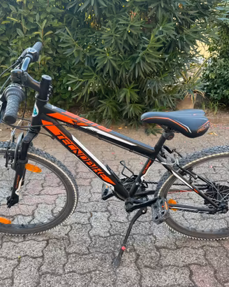 mountain bike 24”