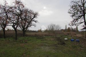 TER. AGRICOLO A SAN CESARIO SUL PANARO