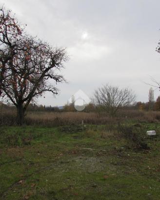 TER. AGRICOLO A SAN CESARIO SUL PANARO
