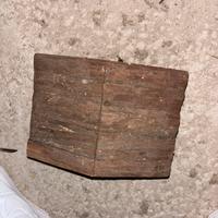 Casetta e ruota per scoiattoli, criceti