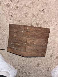 Casetta e ruota per scoiattoli, criceti