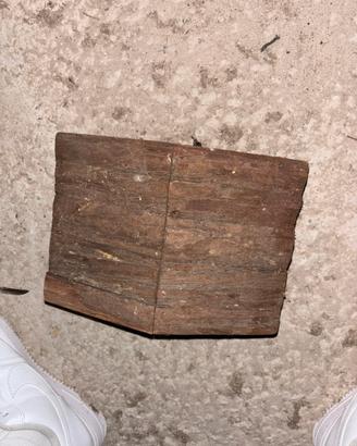 Casetta e ruota per scoiattoli, criceti