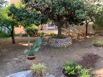 Monolocale con giardino