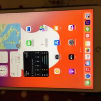 Ipad Pro 10,5” 64 gb wifi