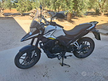 Motron x-nord 125