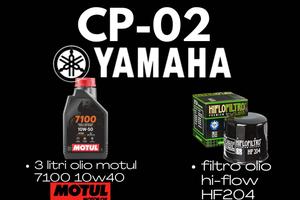 KIT TAGLIANDO YAMAHA CP-02 MT-07 TENERE TRACER T.T