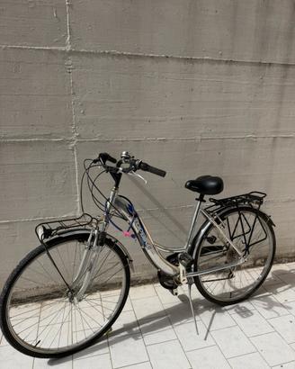 Bicicletta da citta
