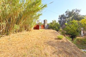 Terreno sportivo tra Archi e Torre Archirafi