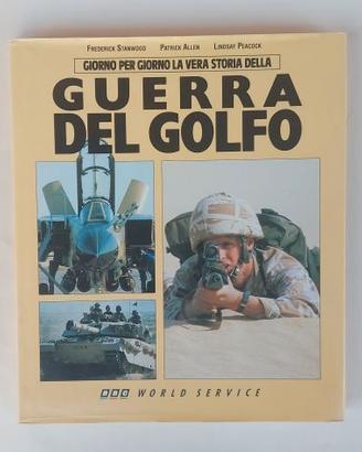 La vera storia della guerra del golfo di Stanwood