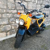 Honda Zoomer Originale d'epoca