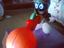 Immagine 2