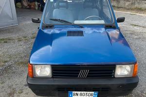 Fiat Panda 900 i.e. cat Young
